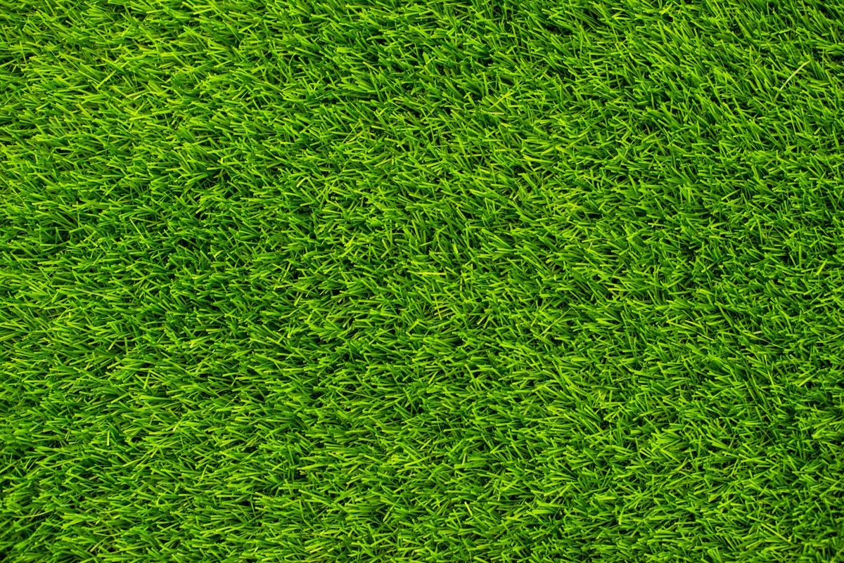 Background green grass top view. Artificial grass or lawn.